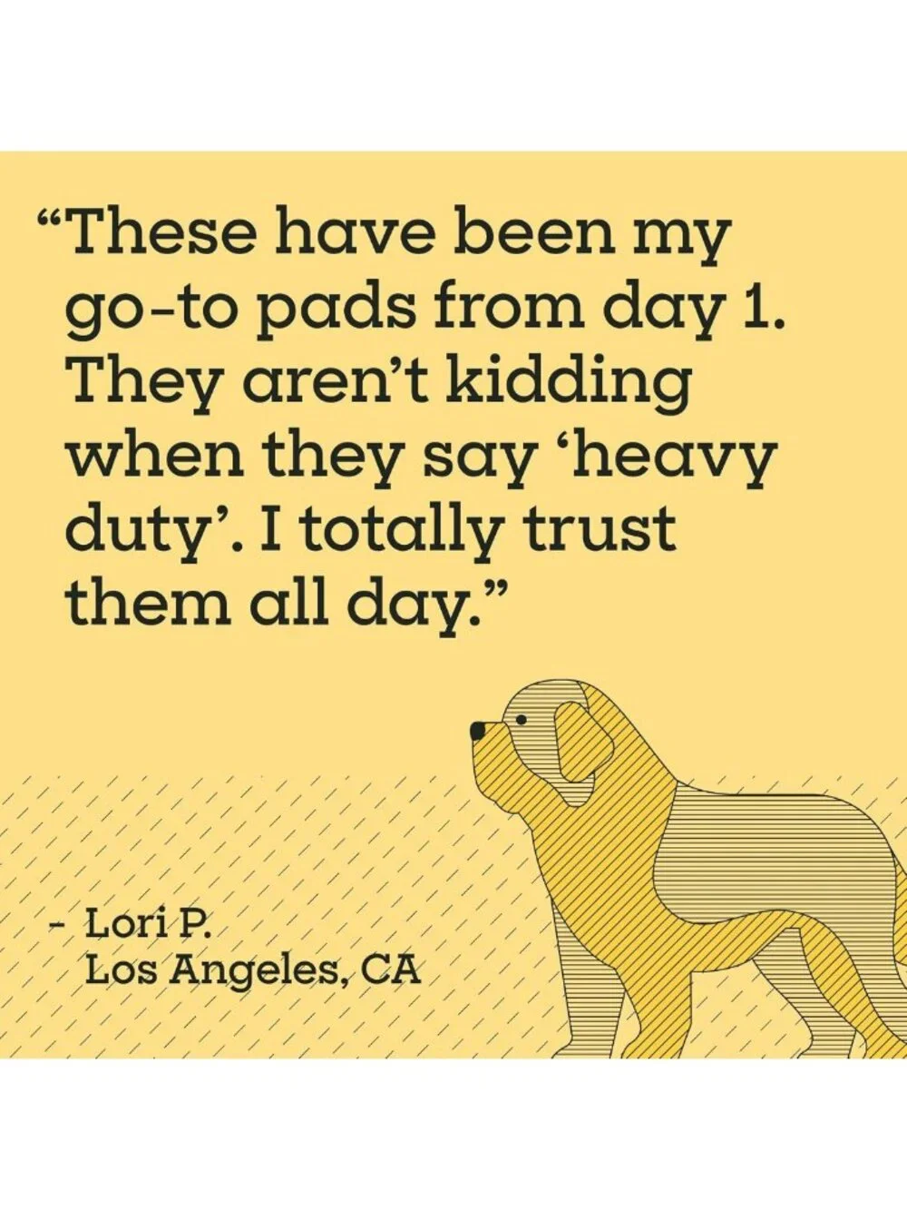 Heavy Duty 3XL Puppy Pads for Dogs - Leak-Proof, Super Absorbent, Quick-Dry, 26